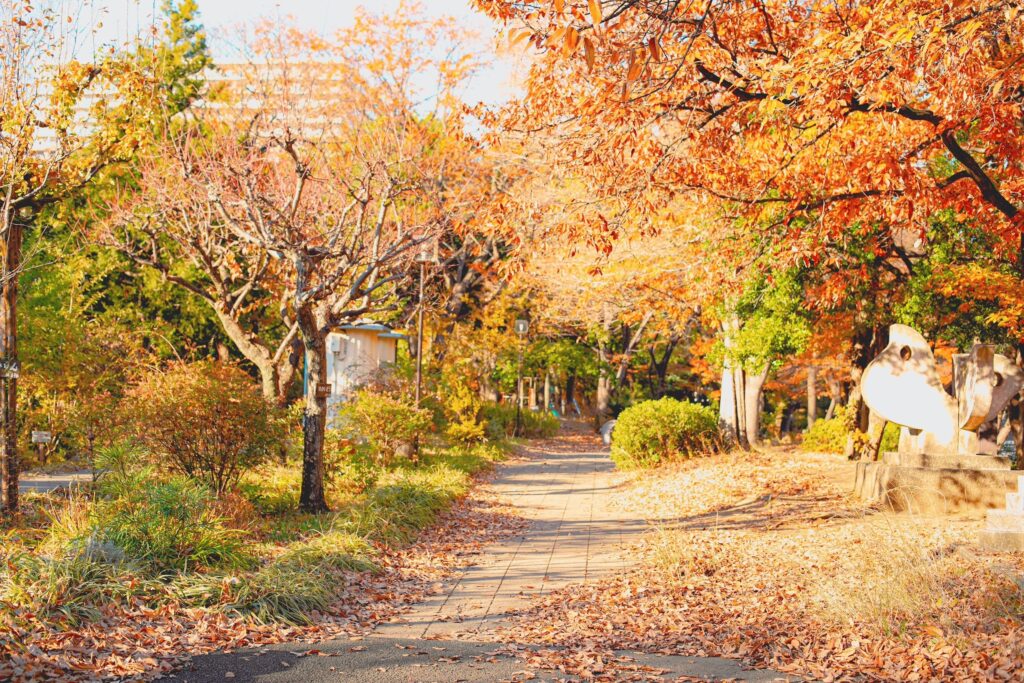 平和の森公園　紅葉のアーチ