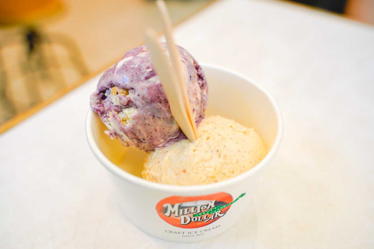 ミリオンダラーアイスクリームパーラー スモールダブル