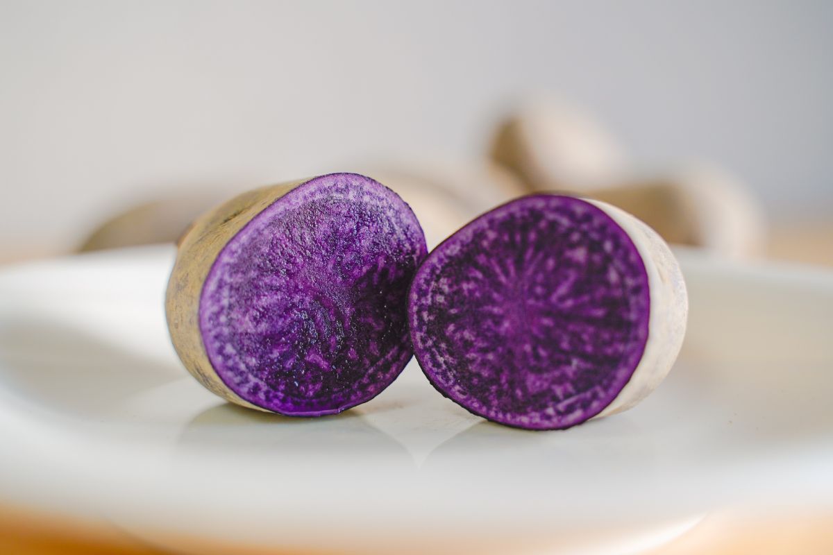 シャドークイーン 断面