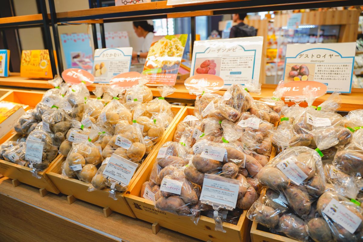 北海道どさんこプラザに陳列されたじゃがいも