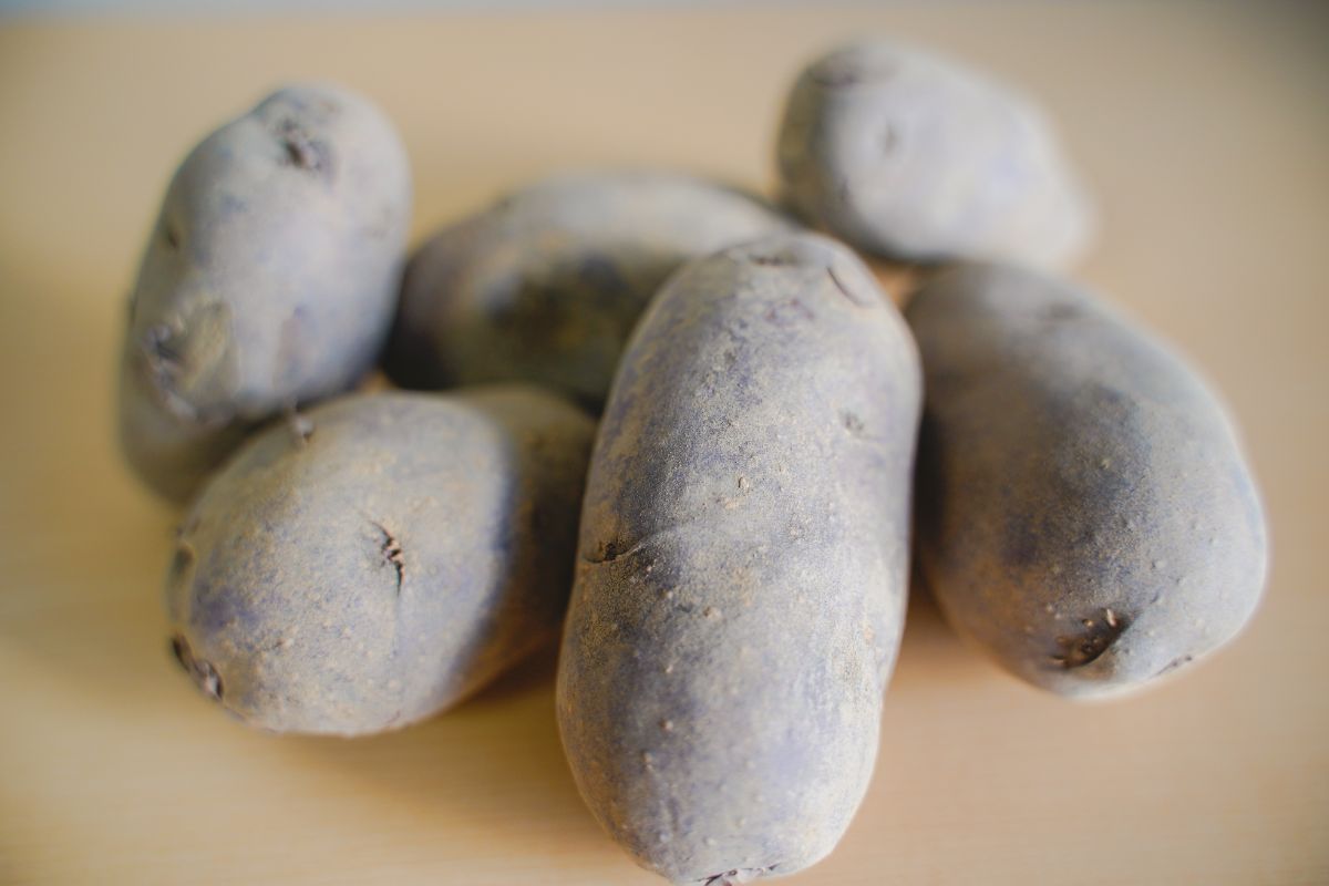 シャドークイーン 土がついた状態