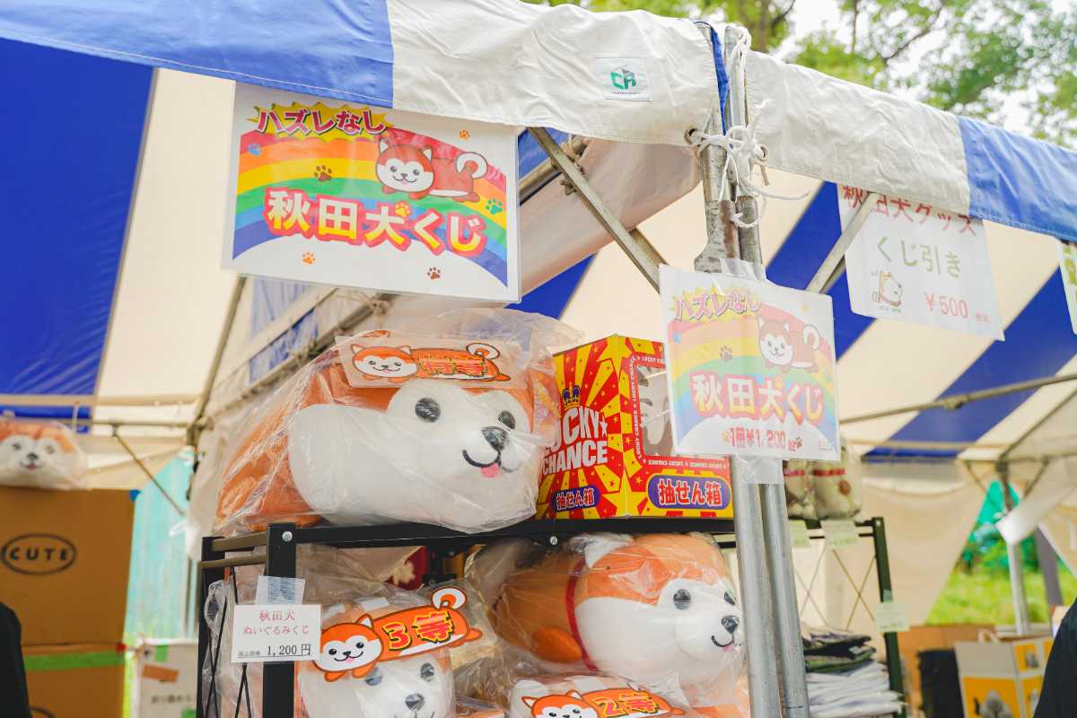 OTAふれあいフェスタ　秋田犬くじ