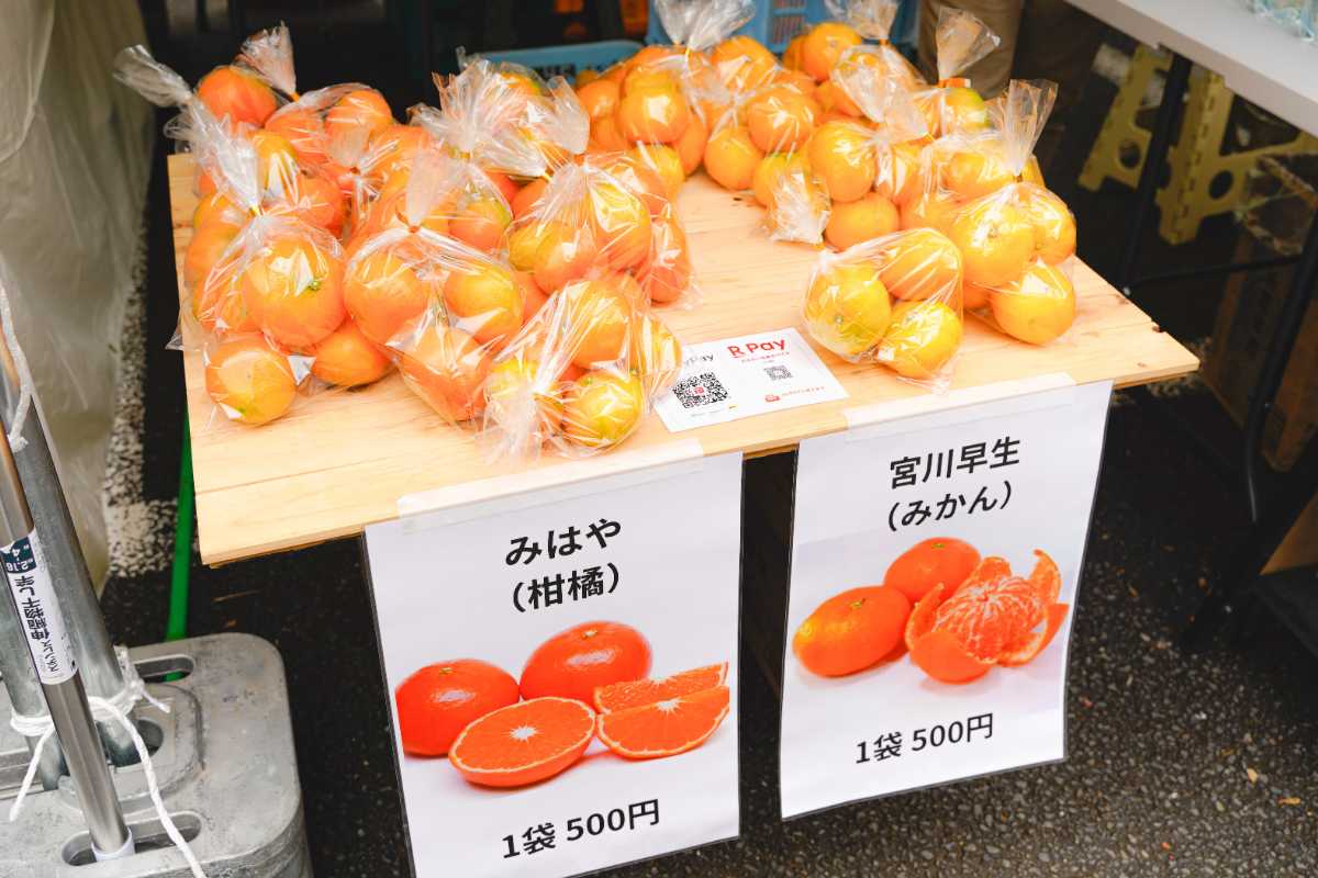 OTAふれあいフェスタ　福田農園　みはや・みかん