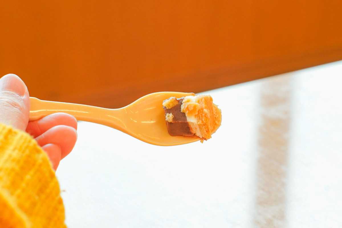 スシロー×サク山チョコ次郎　断面