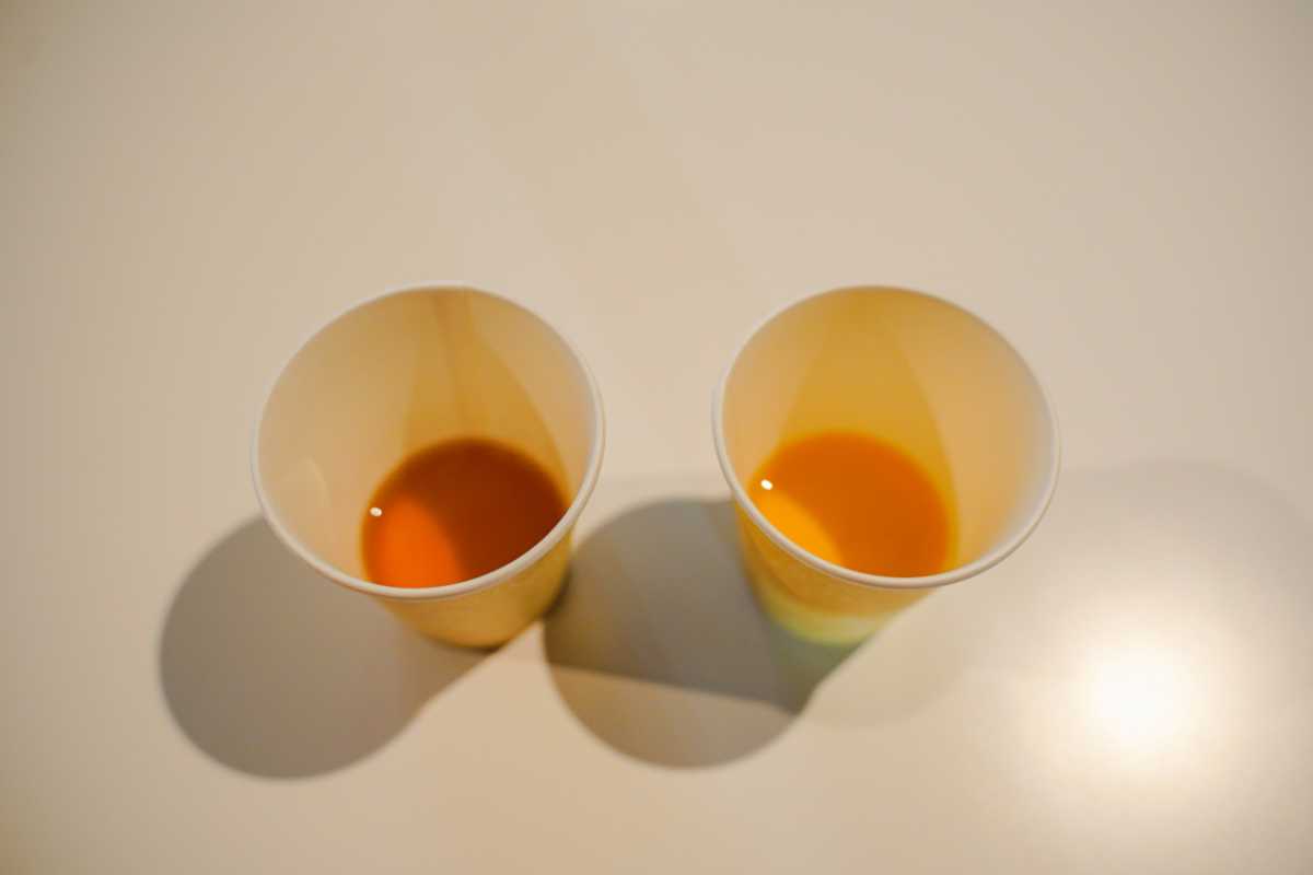 キリンビール横浜工場 一番搾り麦汁と二番搾り麦汁の飲みくらべ