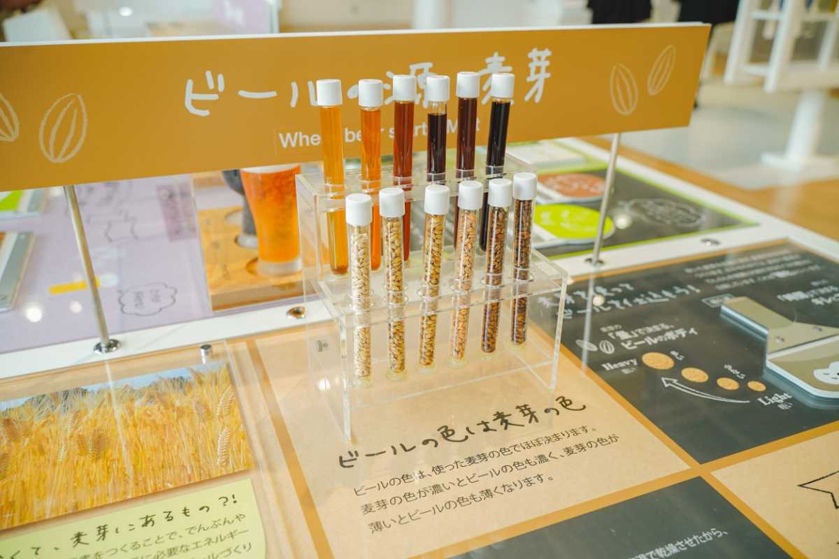 キリンビール横浜工場 ノミモノラボでビールの勉強