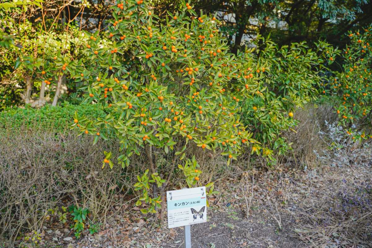 キリンビール横浜工場 中庭