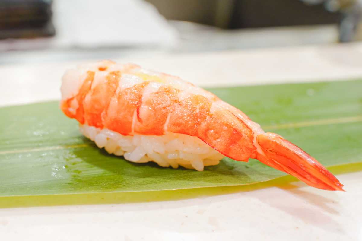 根室花まる 立ち食い寿司 寿司4