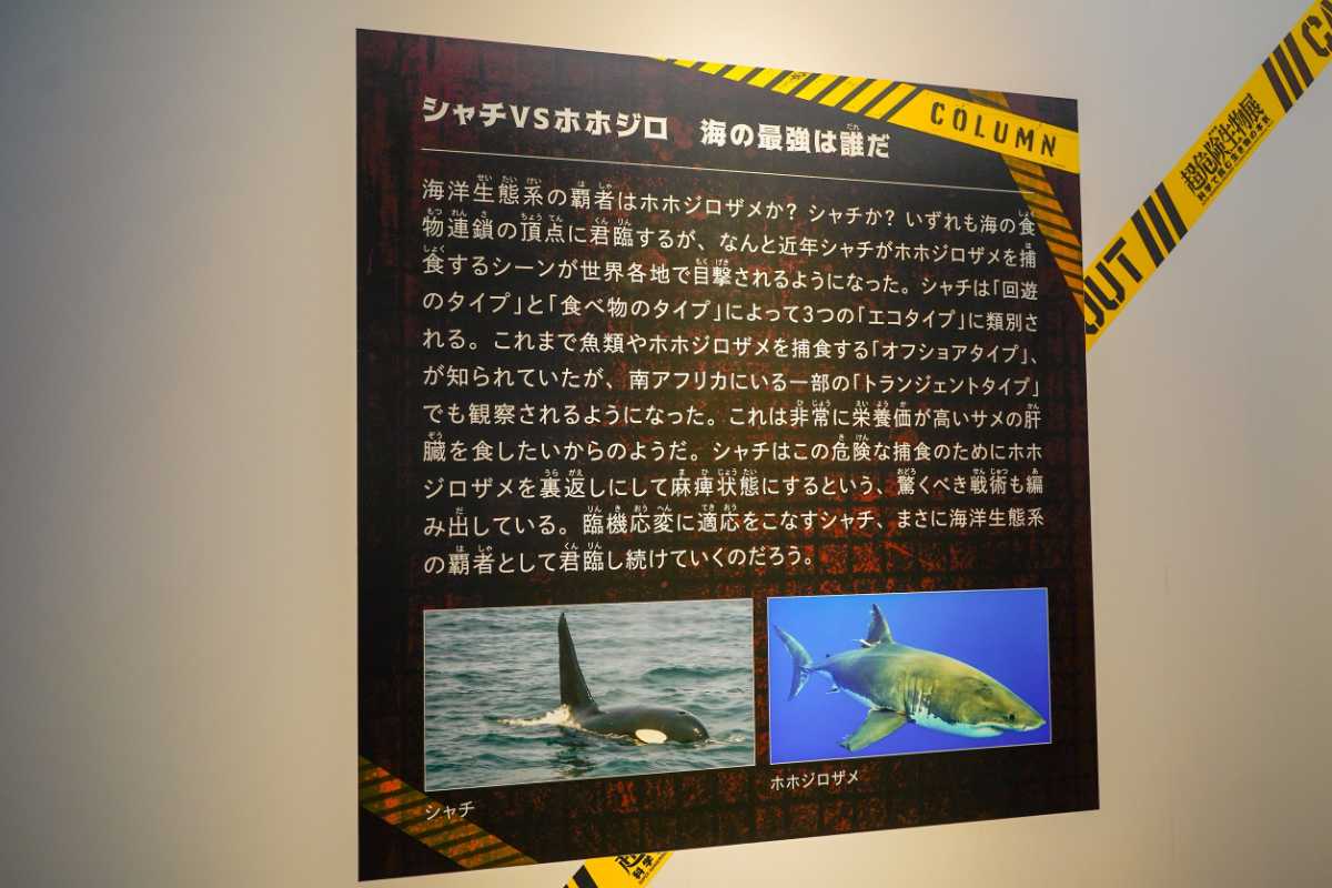 『超危険生物展』コラム