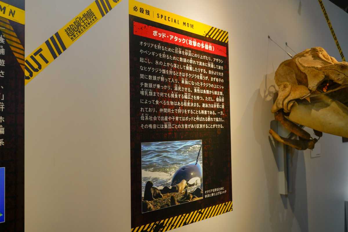 『超危険生物展』必殺技