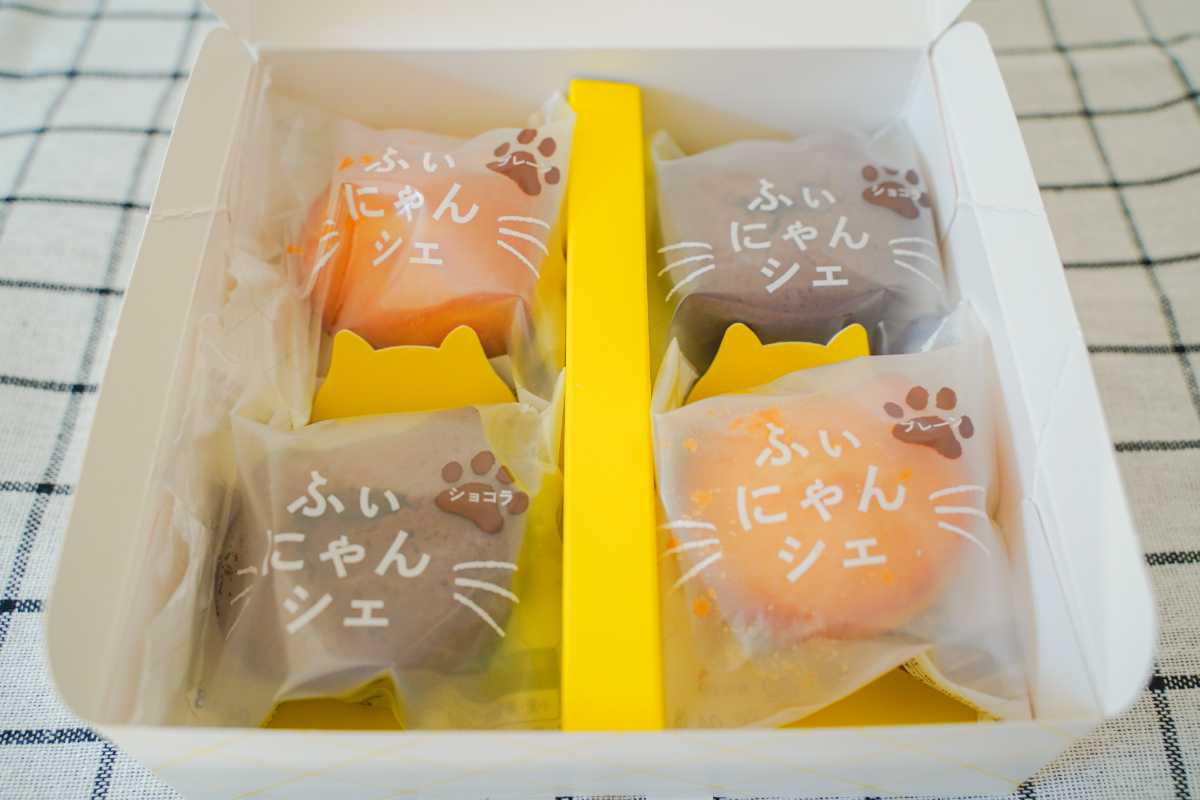 ふぃにゃんシェ　箱を開けたところ