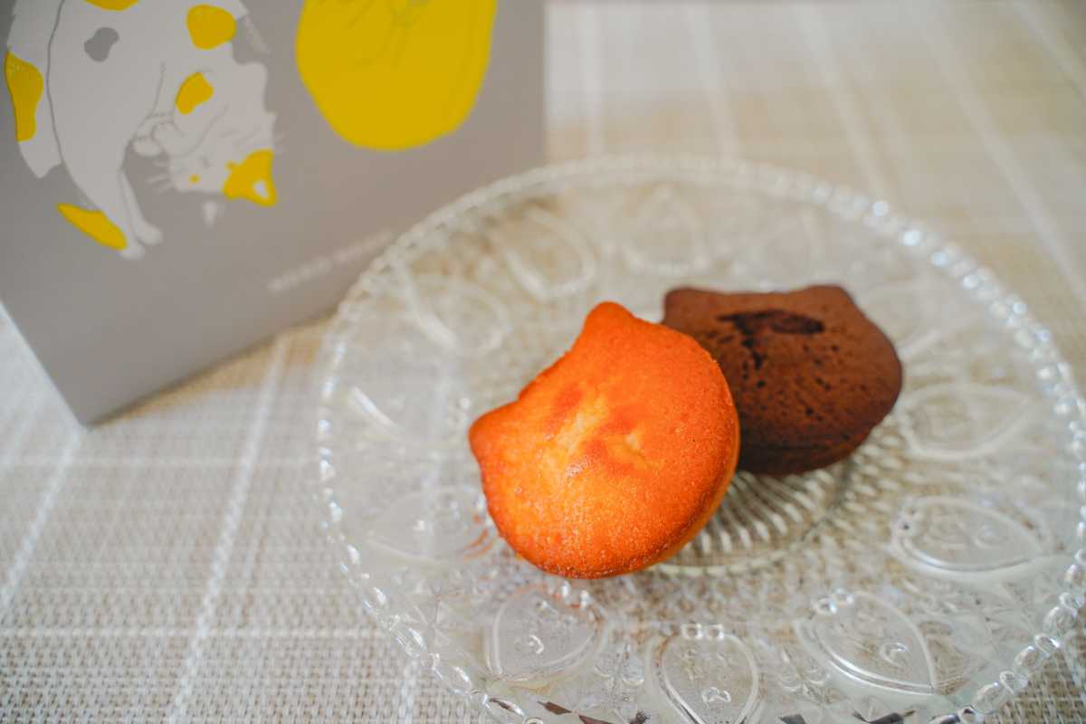 ふぃにゃんシェ　アイキャッチ