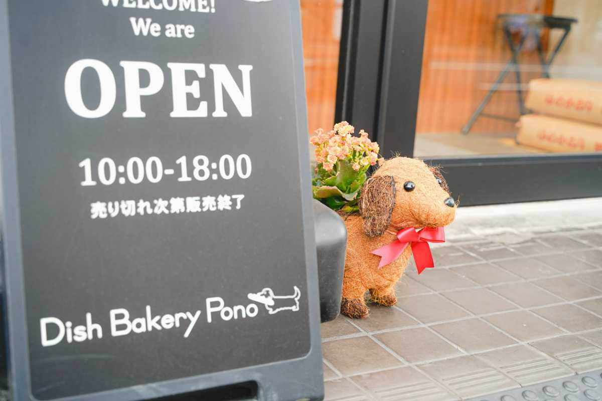 Dish Bakery Pono　店先の植木鉢